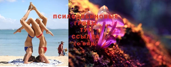 прущий лед Алзамай